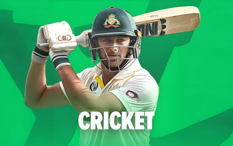 Cricket on Stake with energetic overs and sharp ball movement.